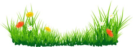 Трава на прозрачном фоне