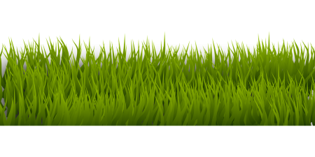 Клипарт трава (48 фото)