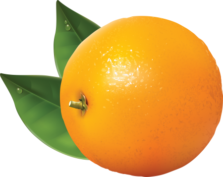 Апельсин клипарт (49 фото)