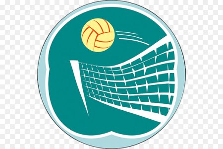 Спорт волейбол