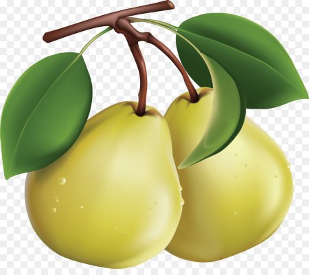 Груша картинка