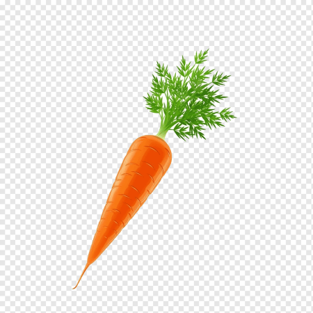 Клипарт морковь (49 фото)
