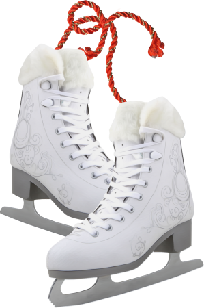 Ice artistic 15638 коньки