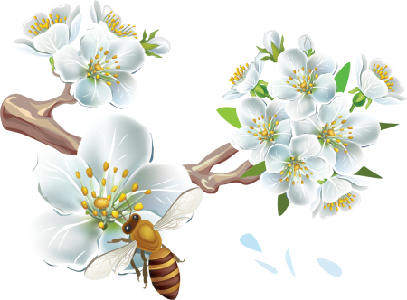 Весна на прозрачном фоне