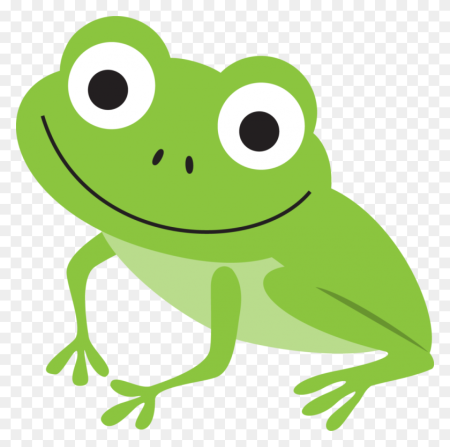 Земноводные на белом фоне