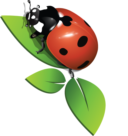 Божья коровка Clipart