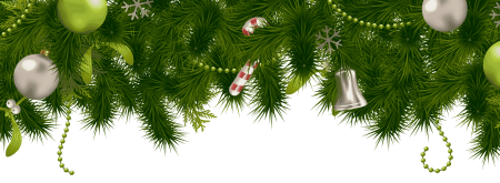 Новогодние еловые ветки