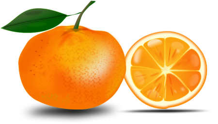 Мандарин рисунок