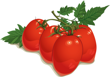 Томаты черри рисунок