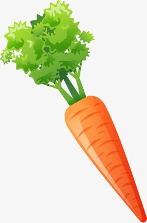 Клипарт морковка (37 фото)