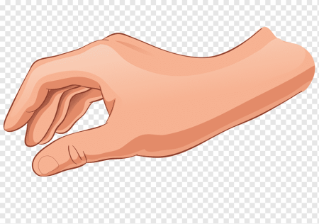 Кисть руки вектор