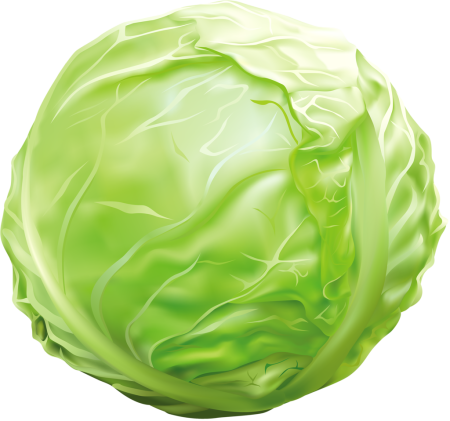 Кочан капусты