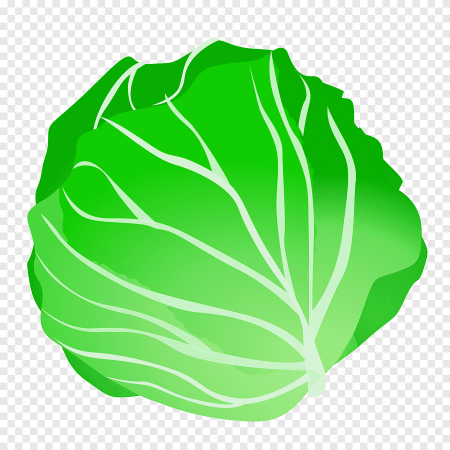 Векторная капуста