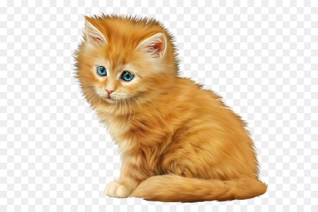Рыжий кот для детей