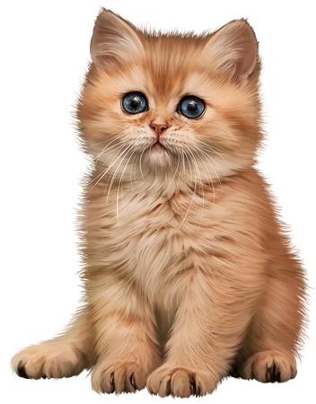 Котенок на прозрачном фоне