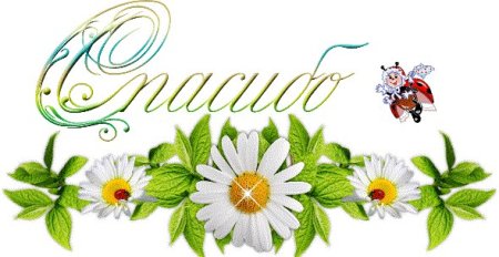 Благодарю на прозрачном фоне