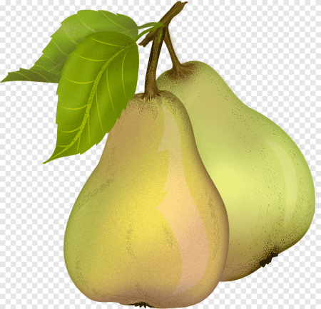 Pear (Пэар) - груша