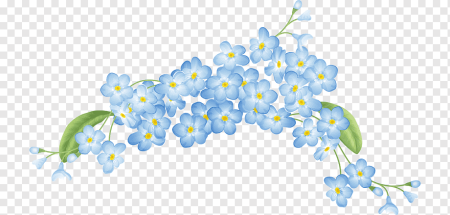 Незабудка на белом фоне
