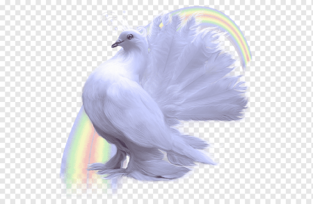Летающий голубь
