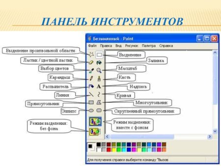 Интерфейс текстового процессора MS Word. Структура окна.
