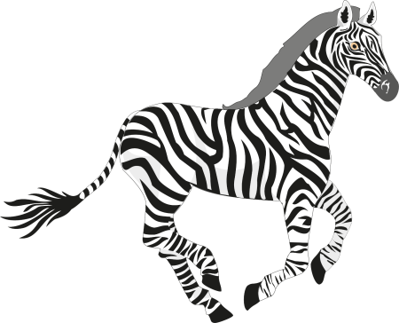 Клипарт зебра (48 фото)