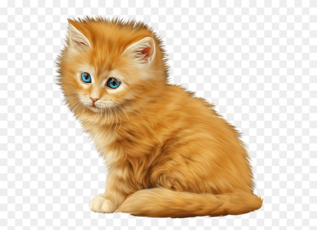 Рыжий кот