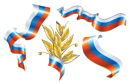 Лента Триколор сбоку рамка