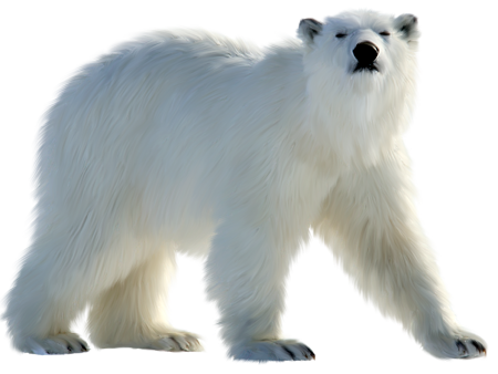 Фигурка Collecta Полярный медведь 88214