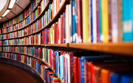 Книжная библиотека