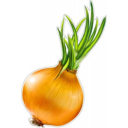 Лук для детей