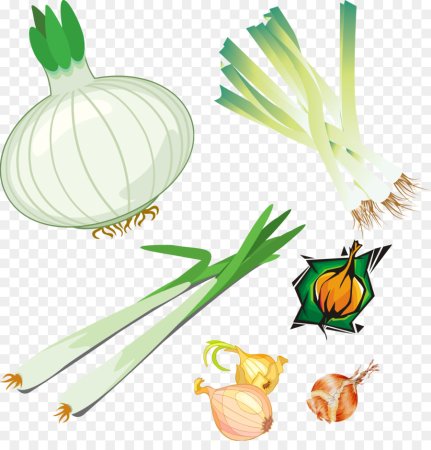 Лук продукт
