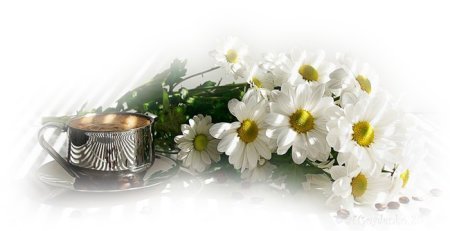 Доброе утро клипарт с цветами
