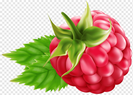 Малина для детей
