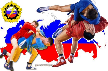 Самбо Постер