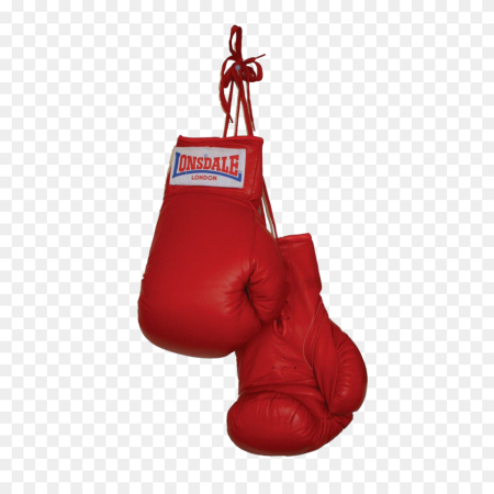 Everlast Boxing