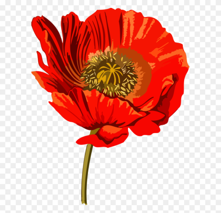 Мак (Poppy Seeds)