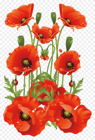 Мак (Poppy Seeds)