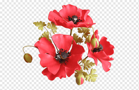 Poppy Sugar