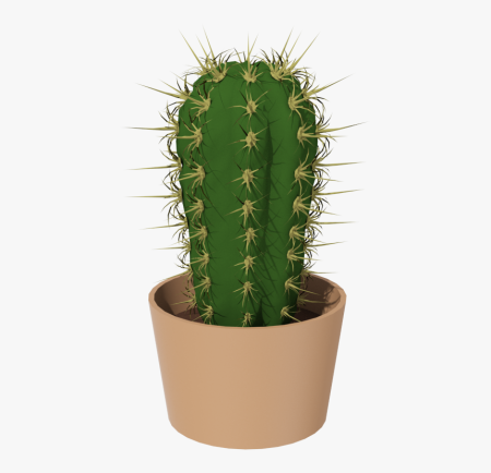 Cactaceae Кактус