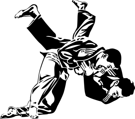 Джиу джитсу бросок