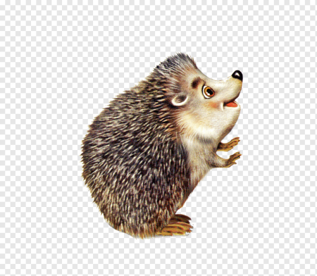 Ежик для детей