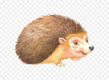 Ежик на прозрачном фоне