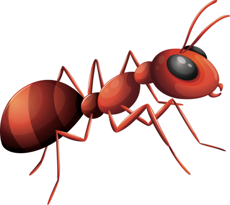 Муравьи мультяшные