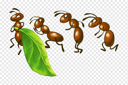 Клипарт муравей (49 фото)