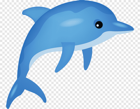 Дельфин клипарт (48 фото)