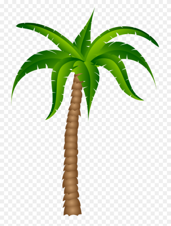Тропическая Пальма Арека (Arecaceae)