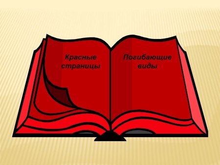 Красная книга для детей