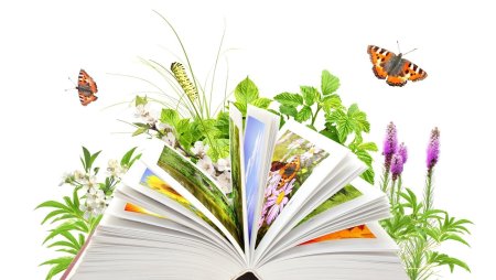 Через книгу в мир природы