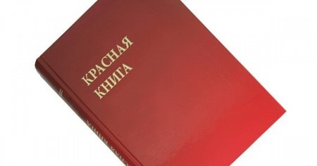 Красная книжка