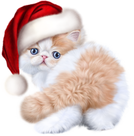 Новогодний котик для фотошопа